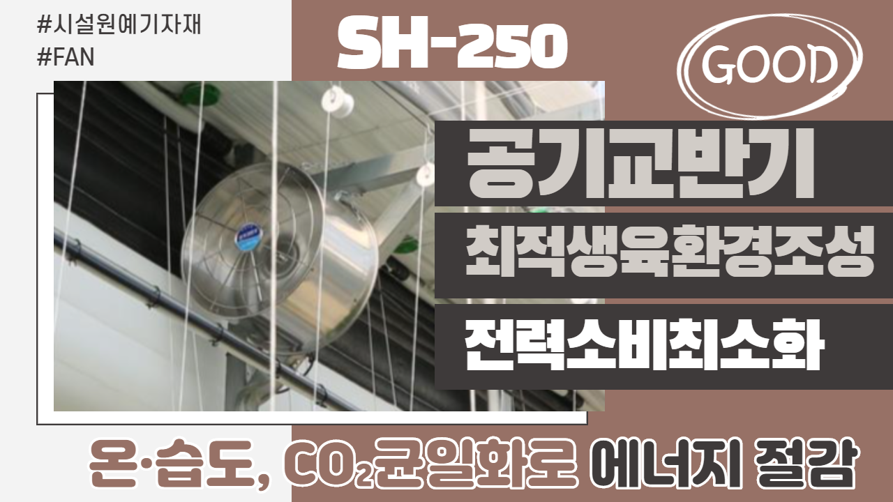 공기교반기 SH-250