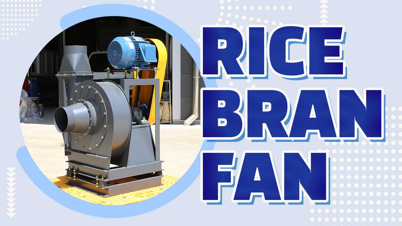 RICE BRAN FAN